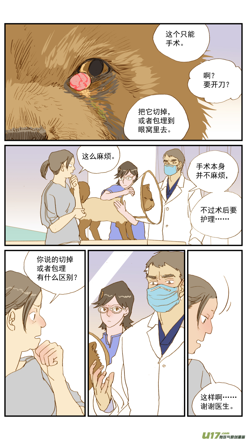 《百足宠物诊所》156 宠物医院和宠物诊所的区别 第8页