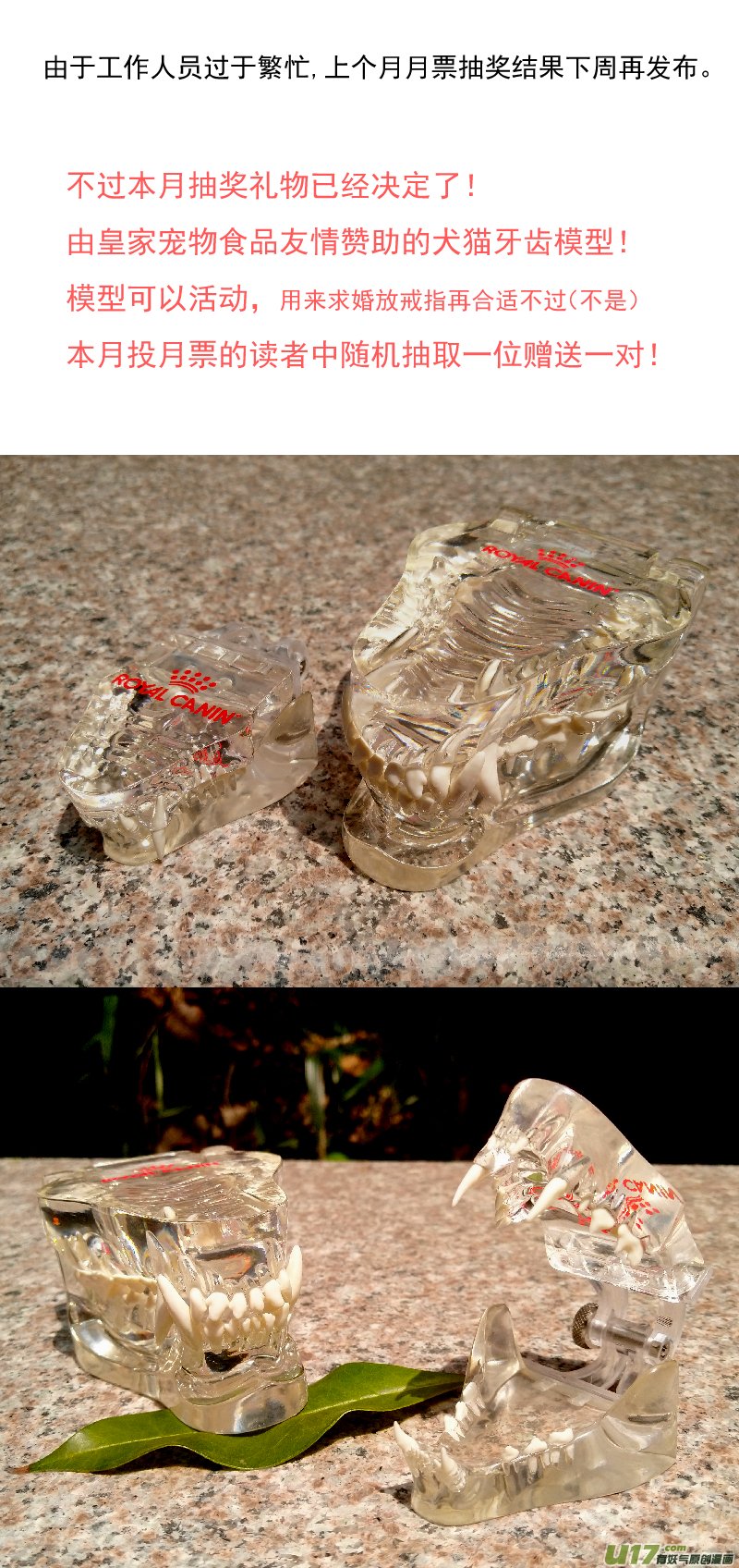 《百足宠物诊所》158 第15页