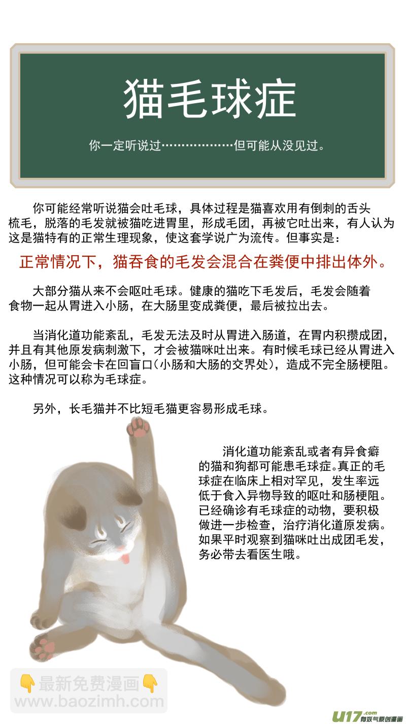 《百足宠物诊所》162 猫毛球症 第14页