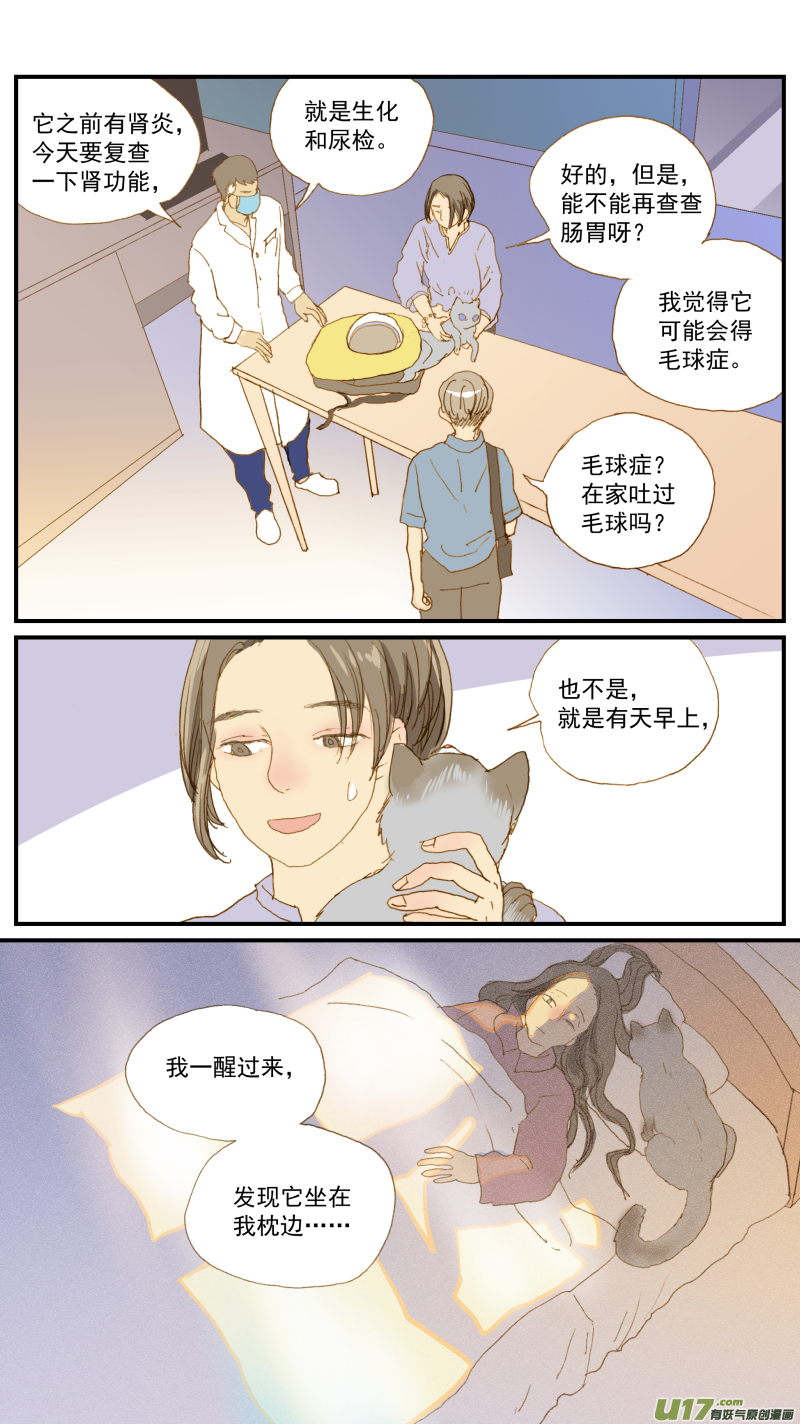 《百足宠物诊所》162 猫毛球症 第4页