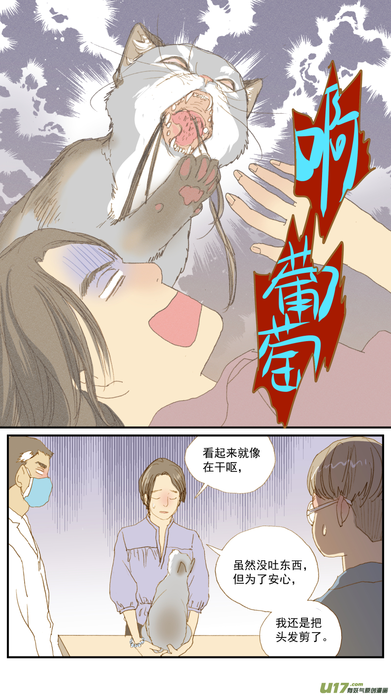 《百足宠物诊所》162 猫毛球症 第6页