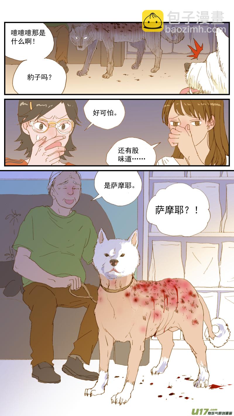 《百足宠物诊所》163 活组织检查 第3页