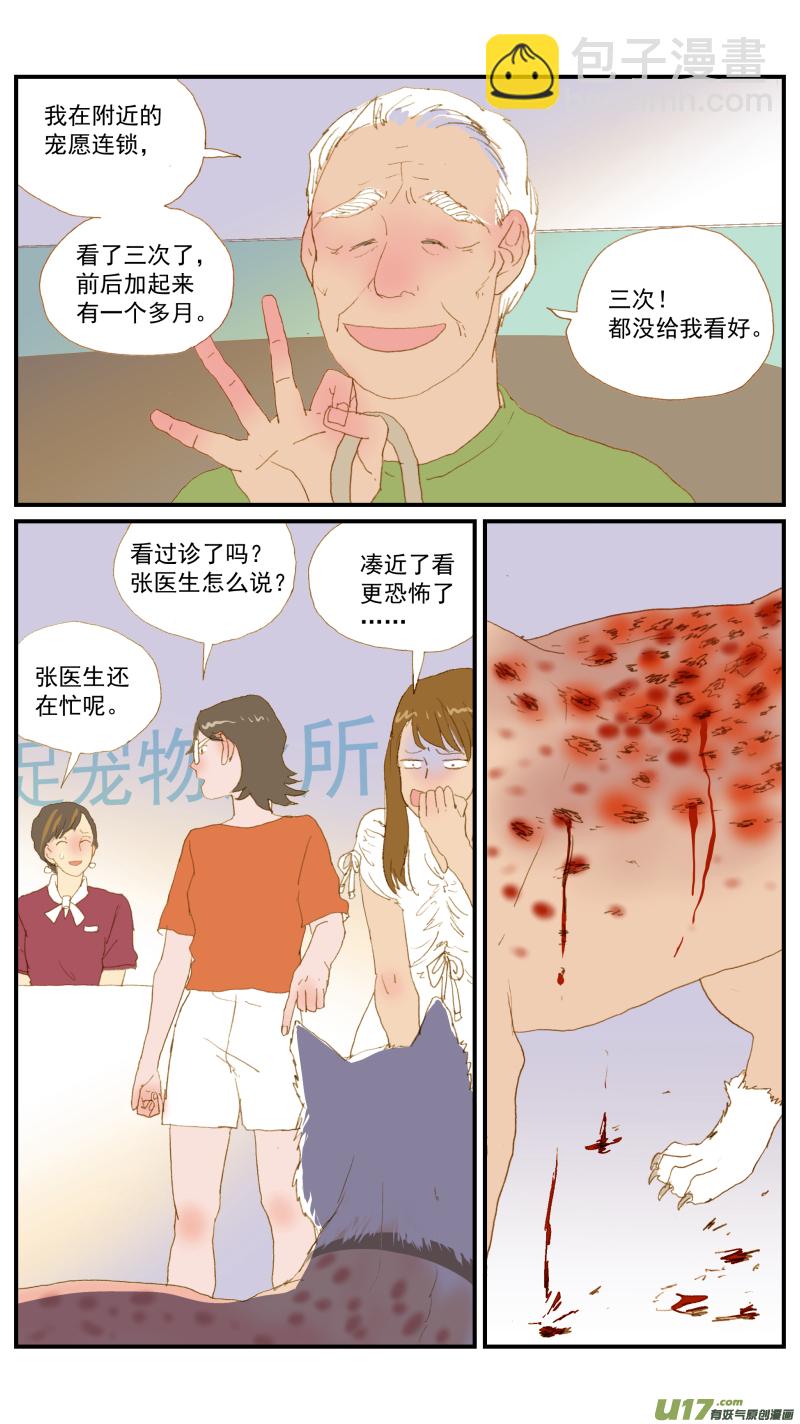 《百足宠物诊所》163 活组织检查 第4页