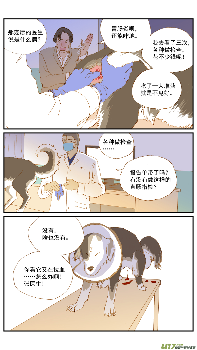 《百足宠物诊所》163 活组织检查 第6页