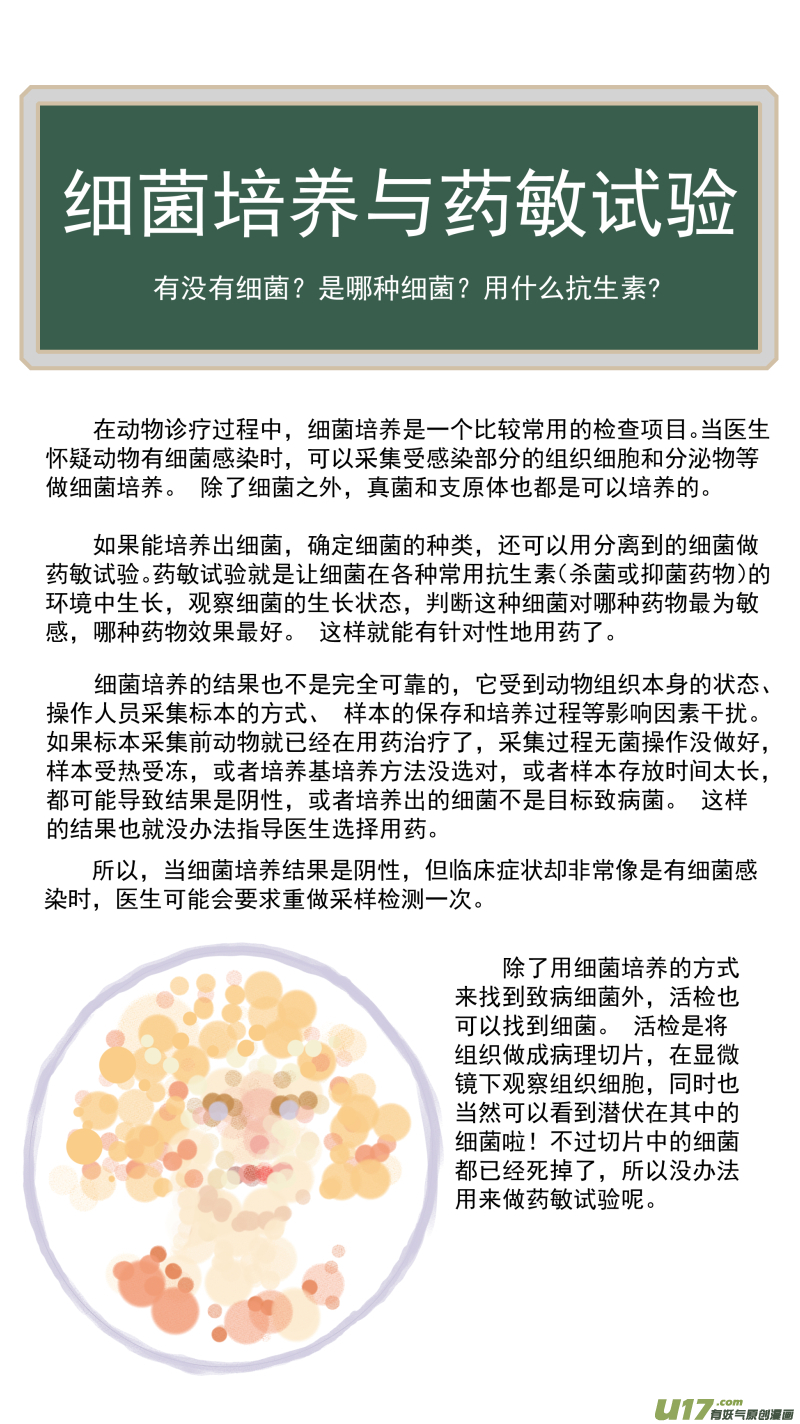 《百足宠物诊所》164 细菌培养和药敏试验 第14页