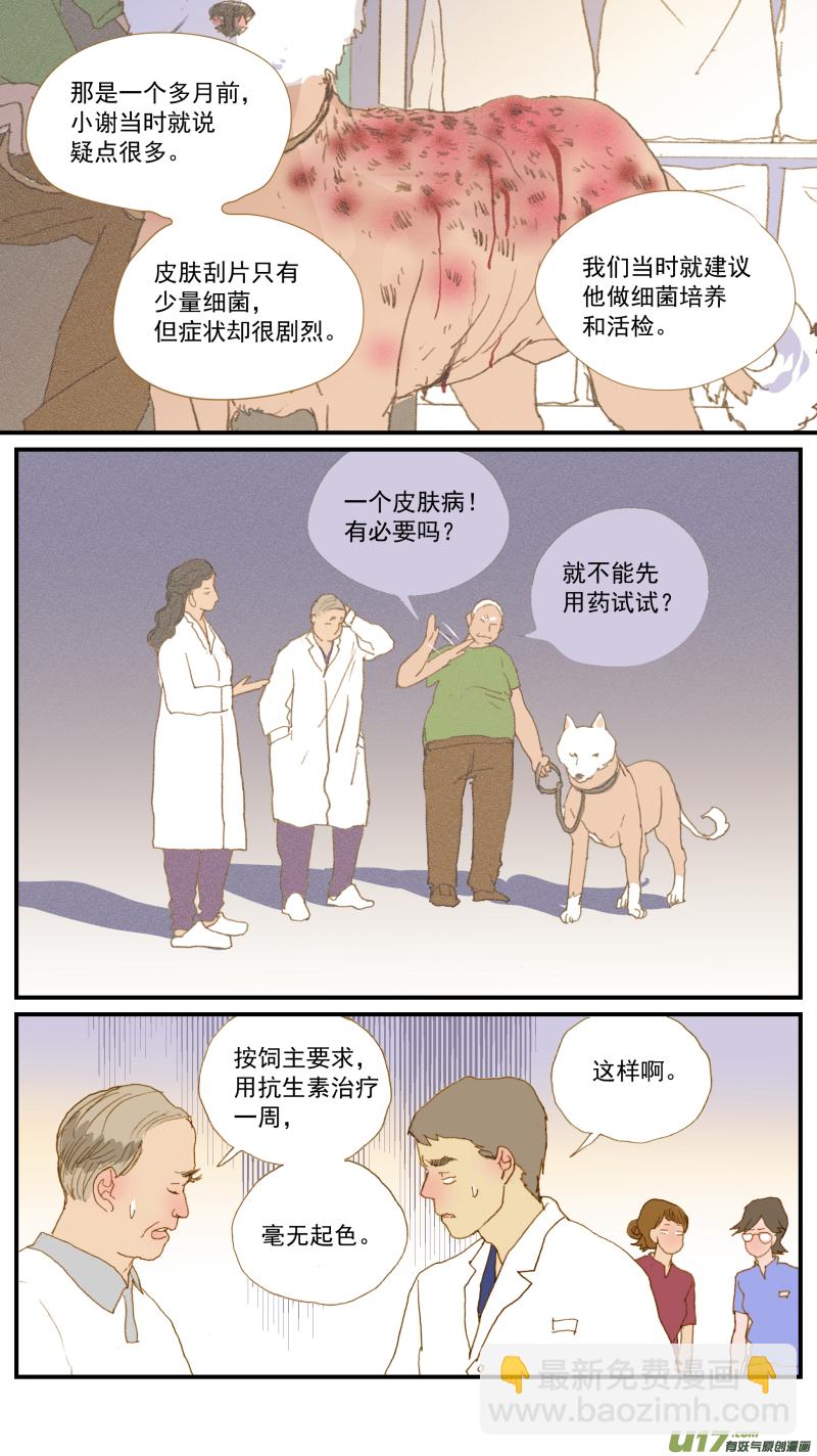《百足宠物诊所》164 细菌培养和药敏试验 第5页