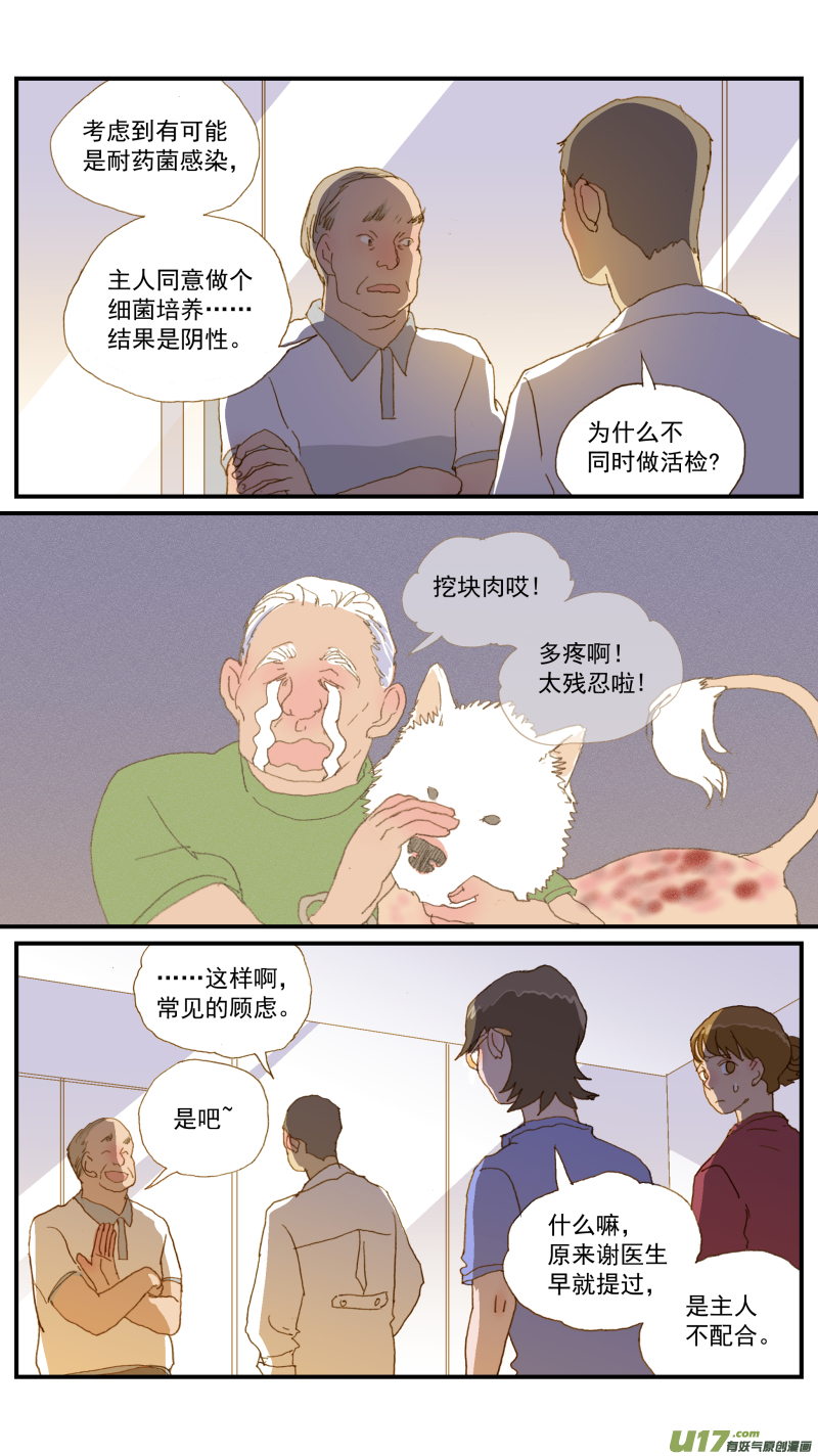 《百足宠物诊所》164 细菌培养和药敏试验 第6页