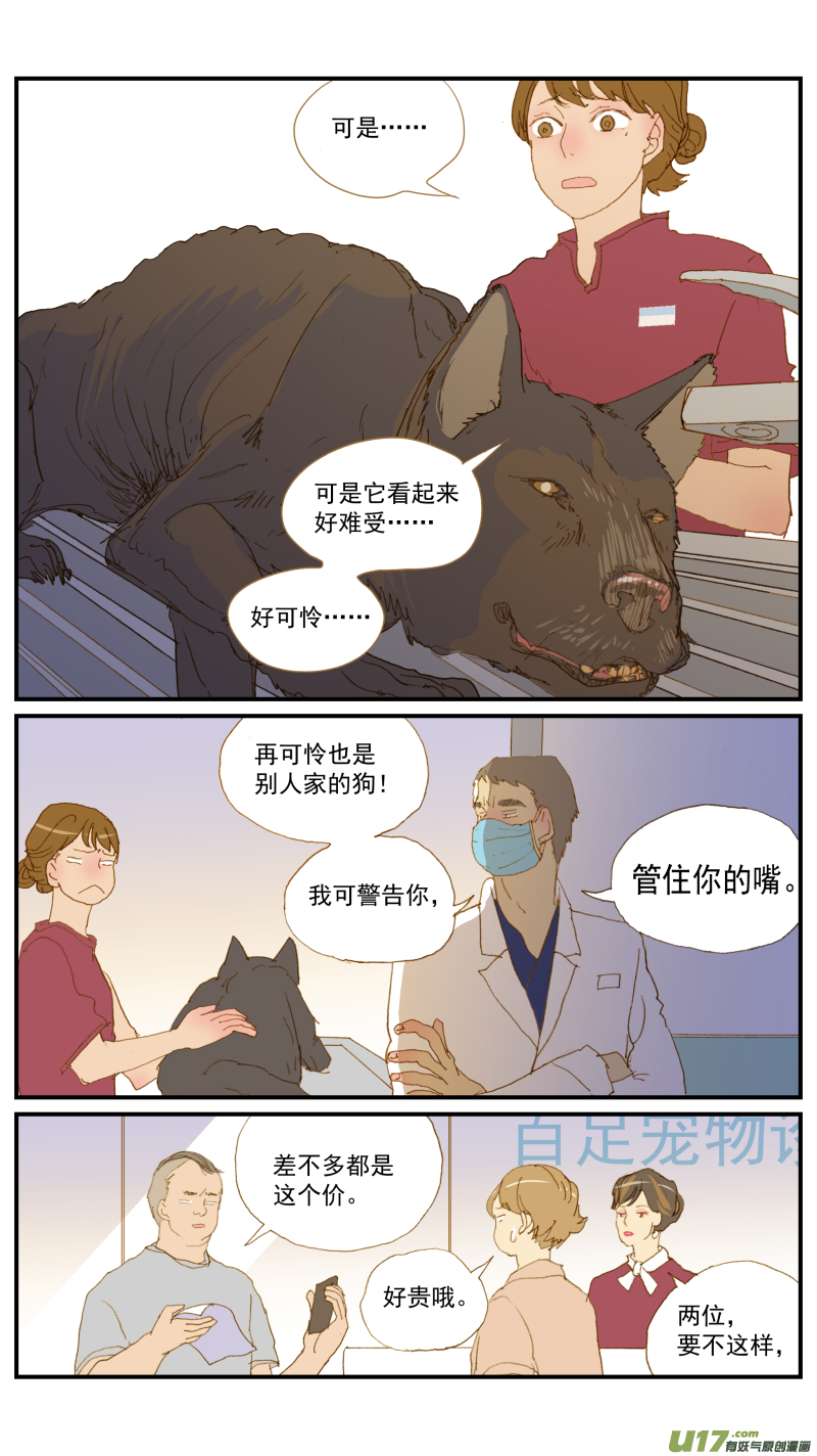 《百足宠物诊所》168 犭糖尿病 第7页