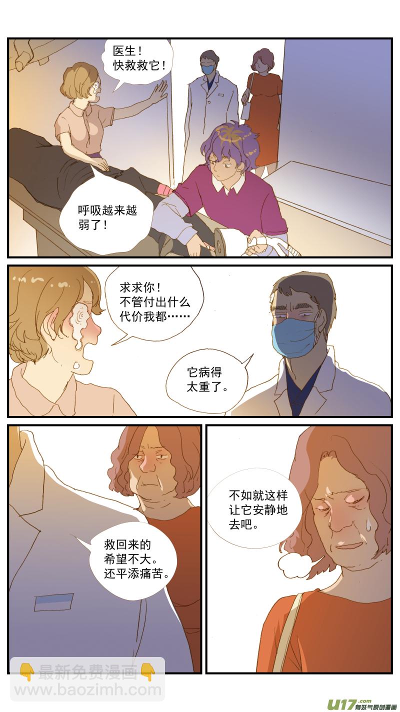 《百足宠物诊所》171 猫传腹治疗药物 第10页