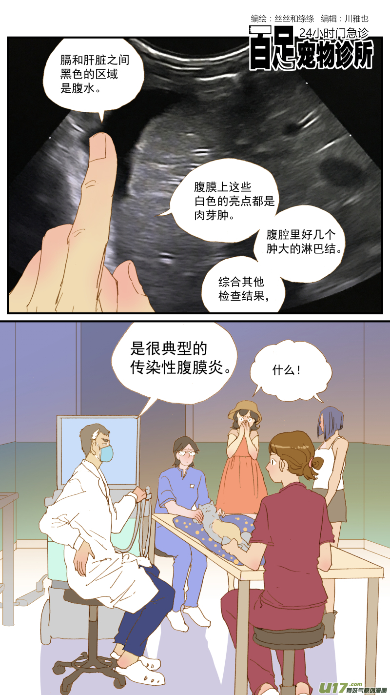《百足宠物诊所》171 猫传腹治疗药物 第1页
