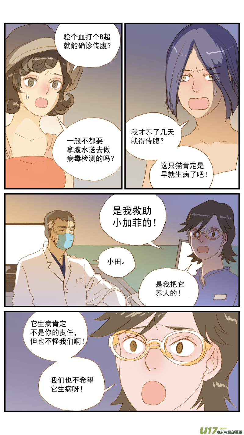 《百足宠物诊所》171 猫传腹治疗药物 第2页