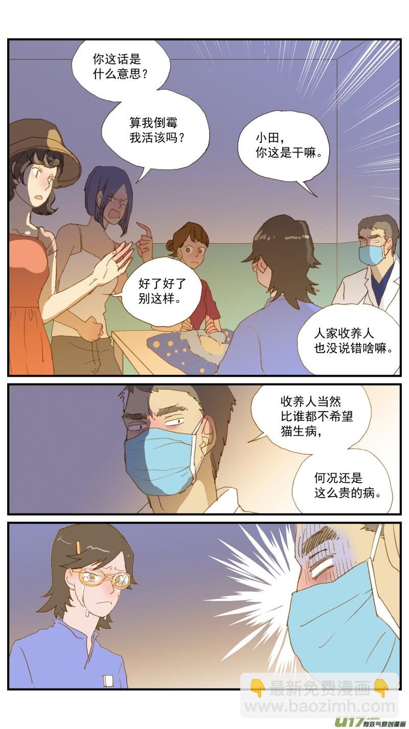 《百足宠物诊所》171 猫传腹治疗药物 第3页