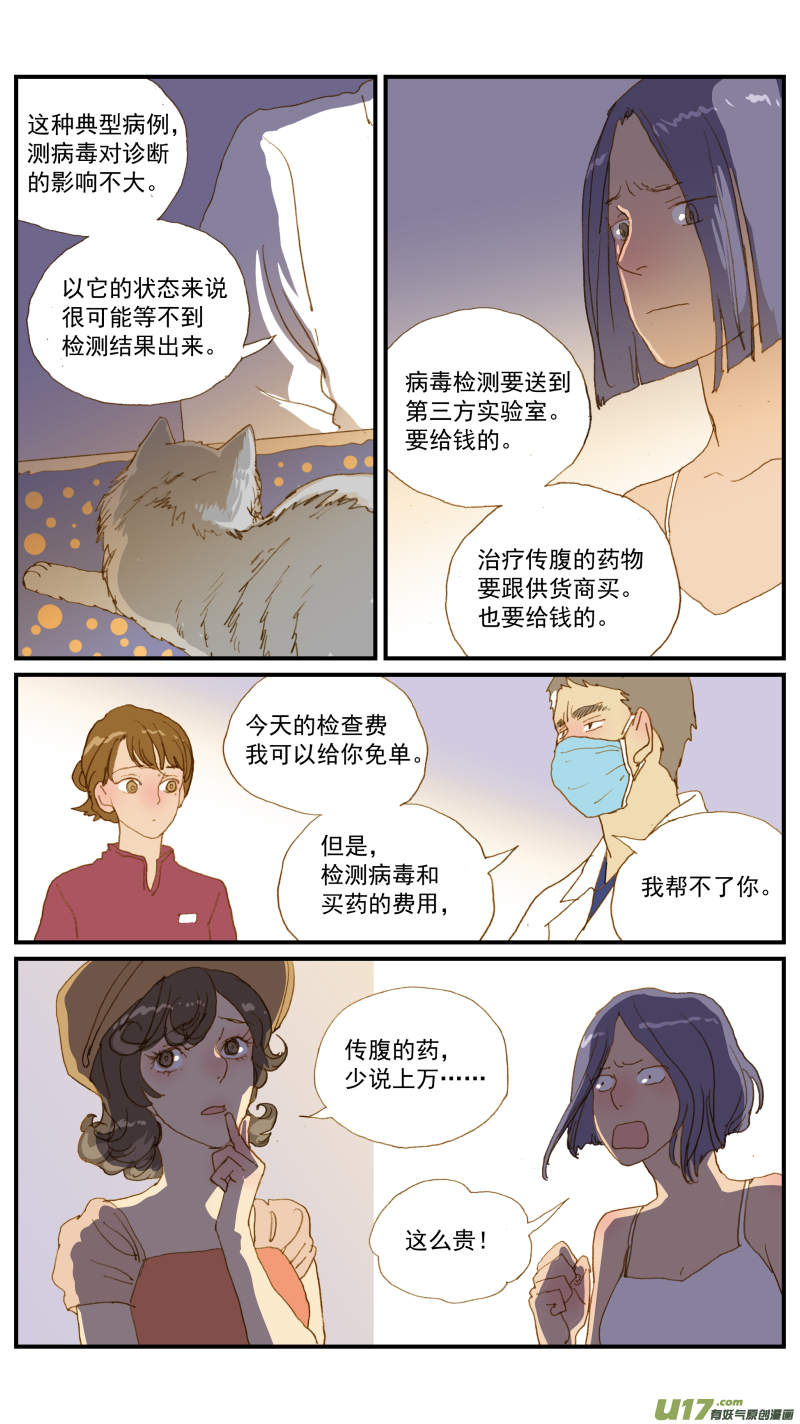 《百足宠物诊所》171 猫传腹治疗药物 第5页