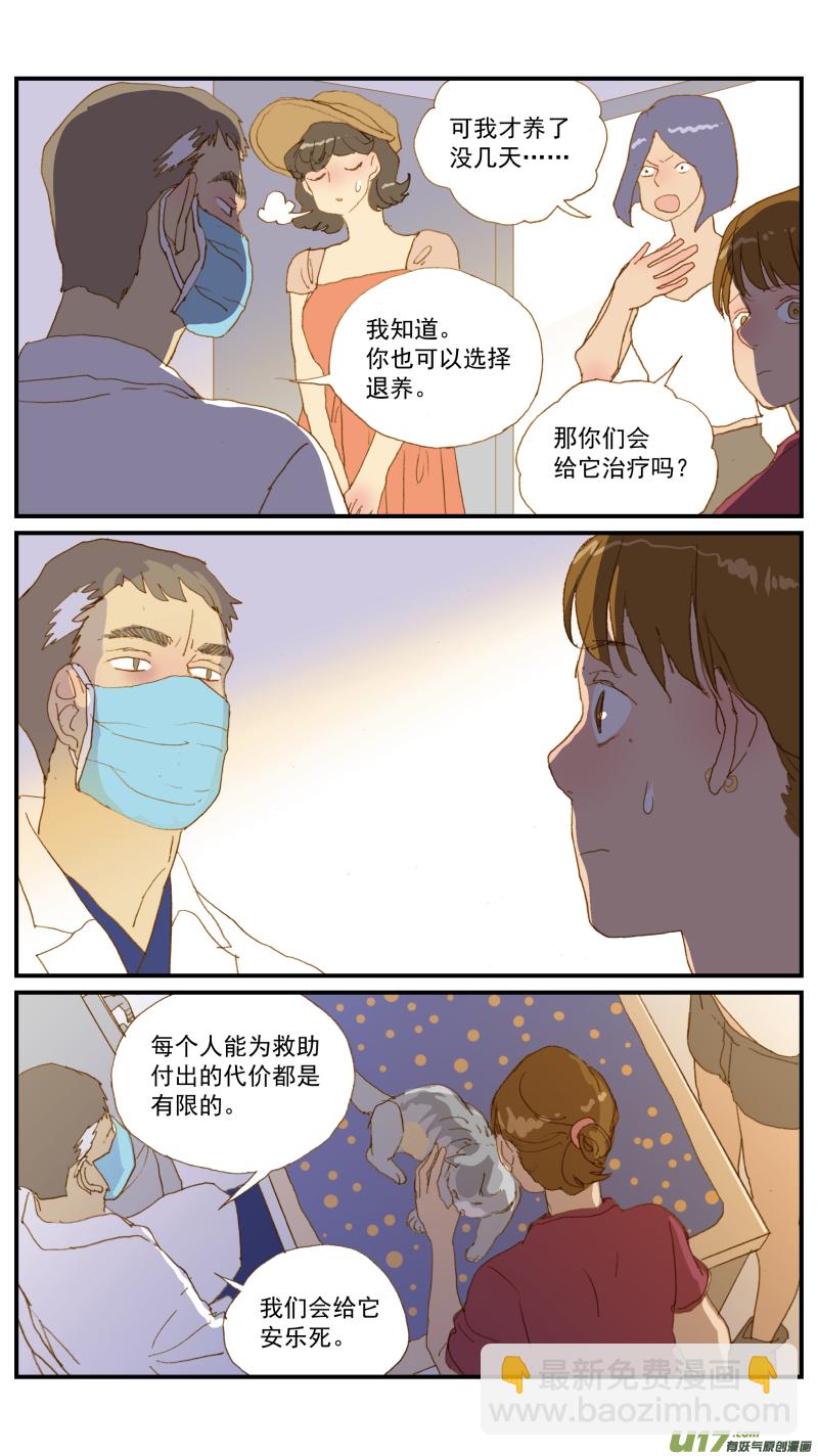 《百足宠物诊所》171 猫传腹治疗药物 第6页
