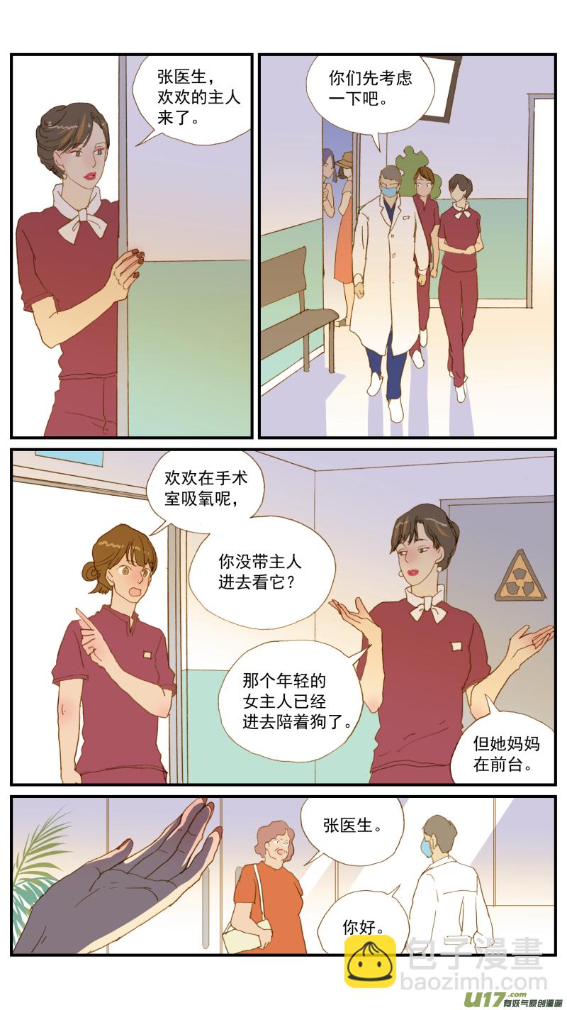 《百足宠物诊所》171 猫传腹治疗药物 第7页