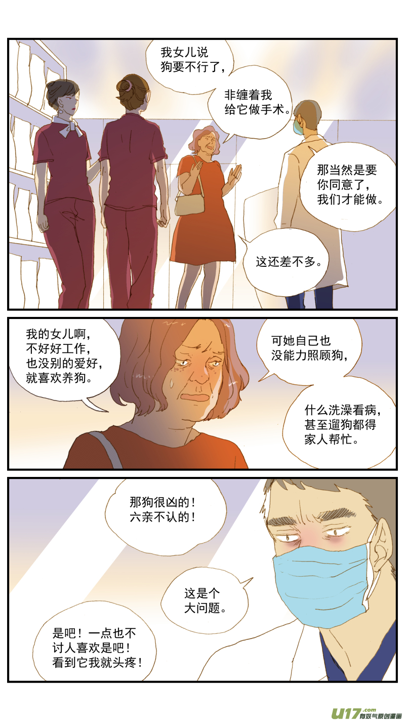 《百足宠物诊所》171 猫传腹治疗药物 第8页