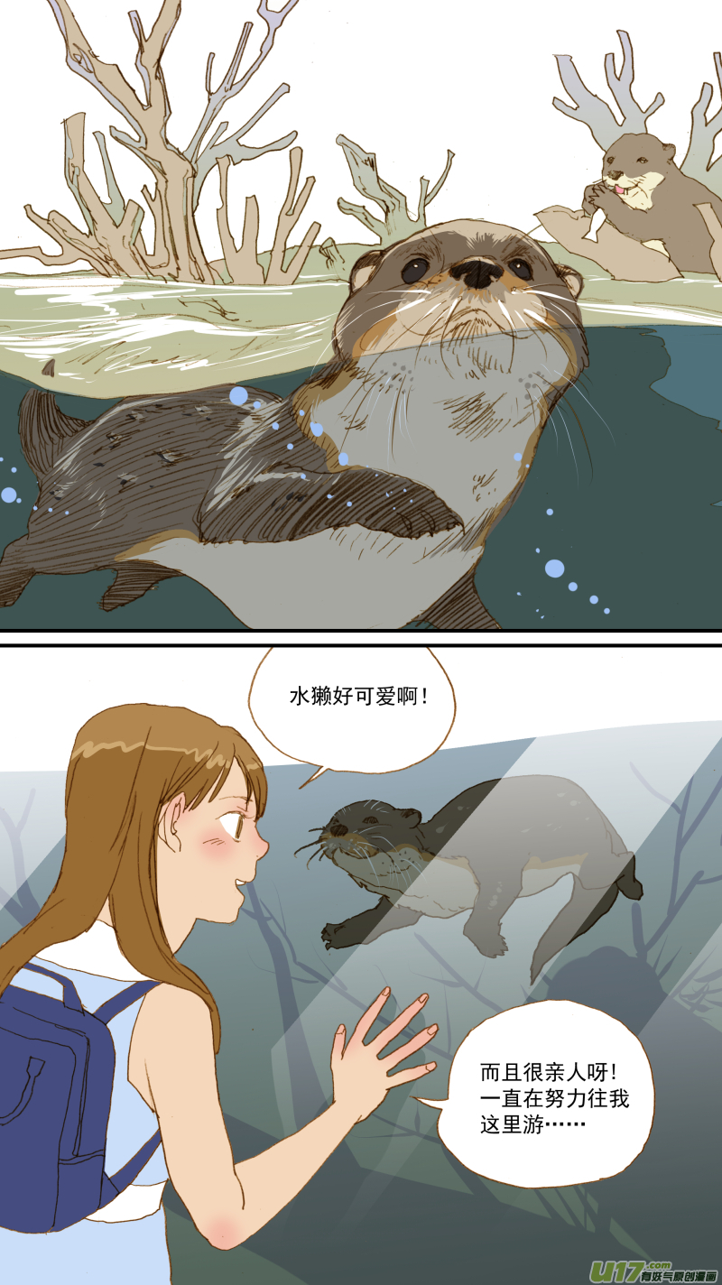 《百足宠物诊所》175 不可以乱投喂哦 第1页