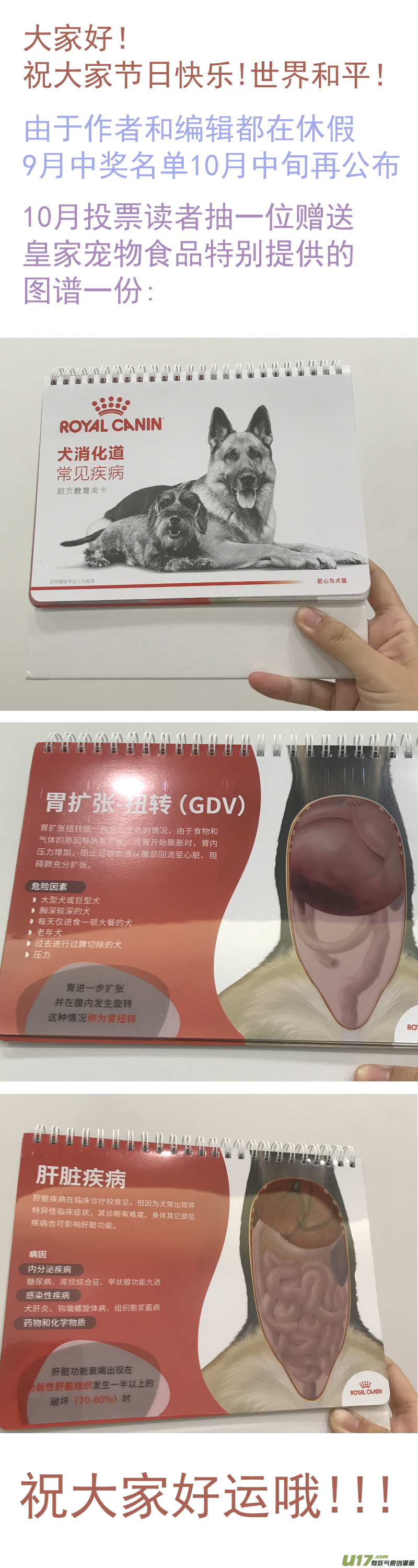 《百足宠物诊所》174 第12页
