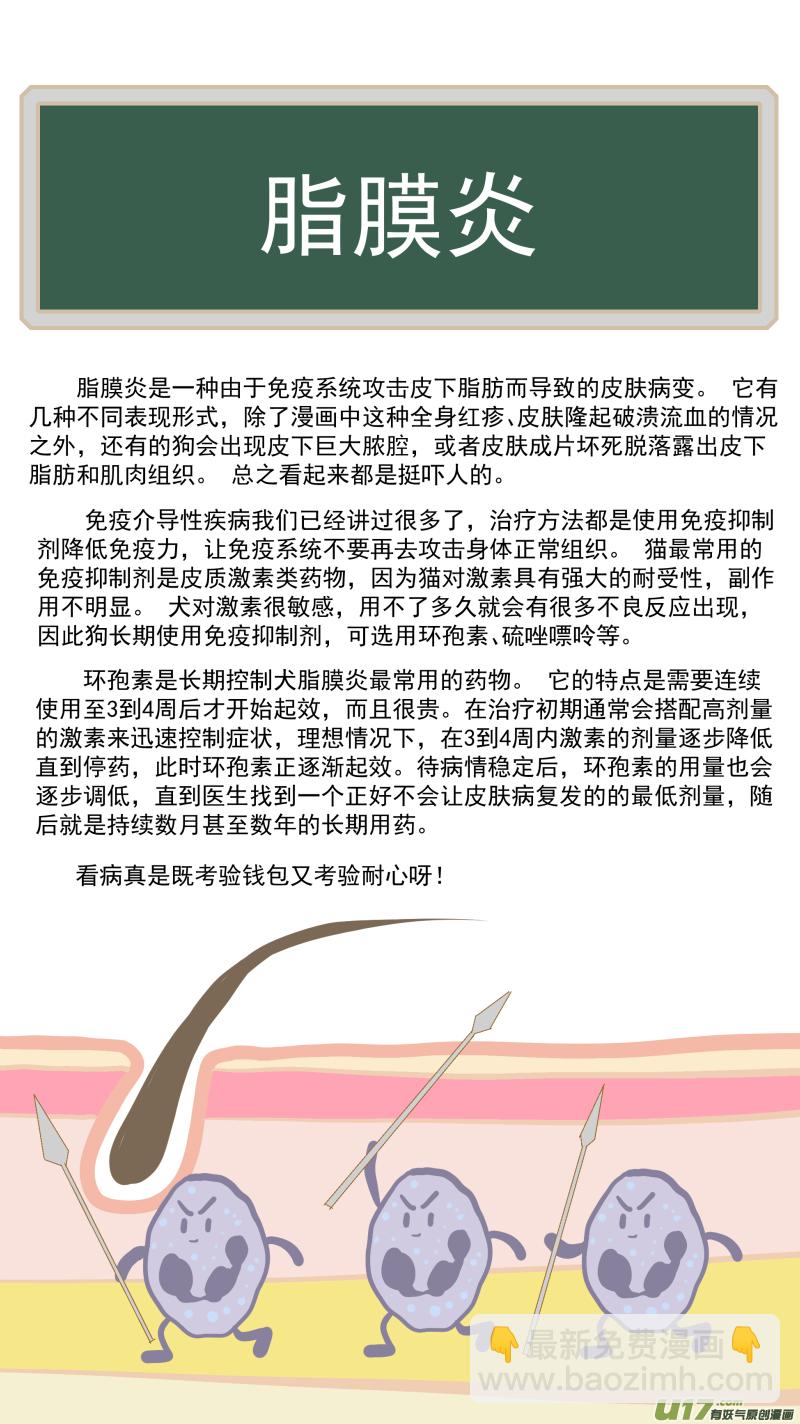 《百足宠物诊所》179 脂膜炎 第11页