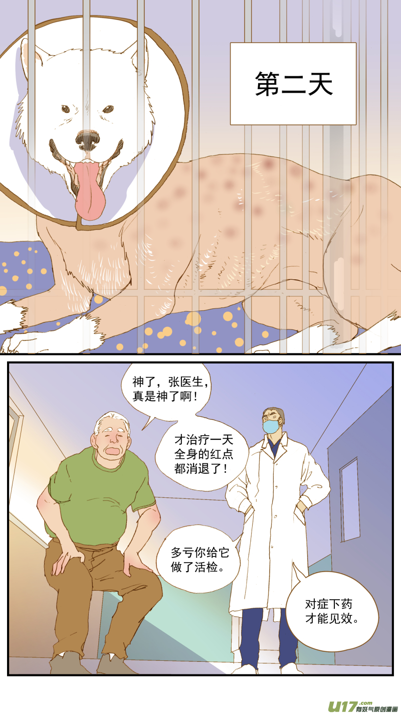 《百足宠物诊所》179 脂膜炎 第12页