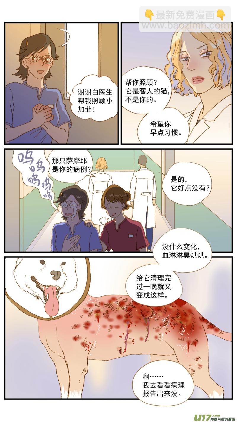《百足宠物诊所》179 脂膜炎 第4页