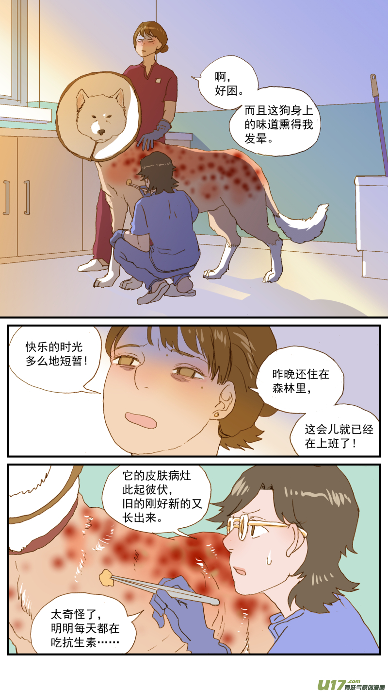 《百足宠物诊所》179 脂膜炎 第5页