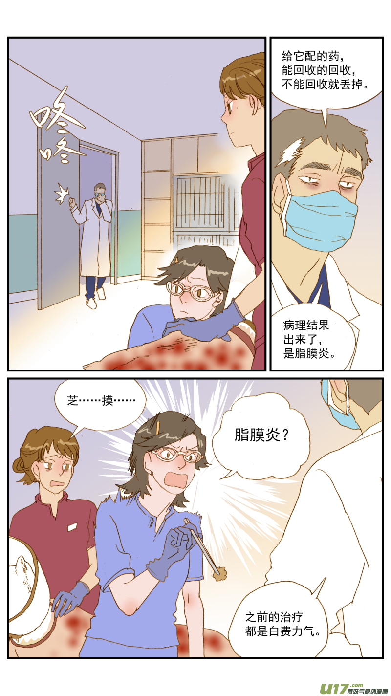 《百足宠物诊所》179 脂膜炎 第6页