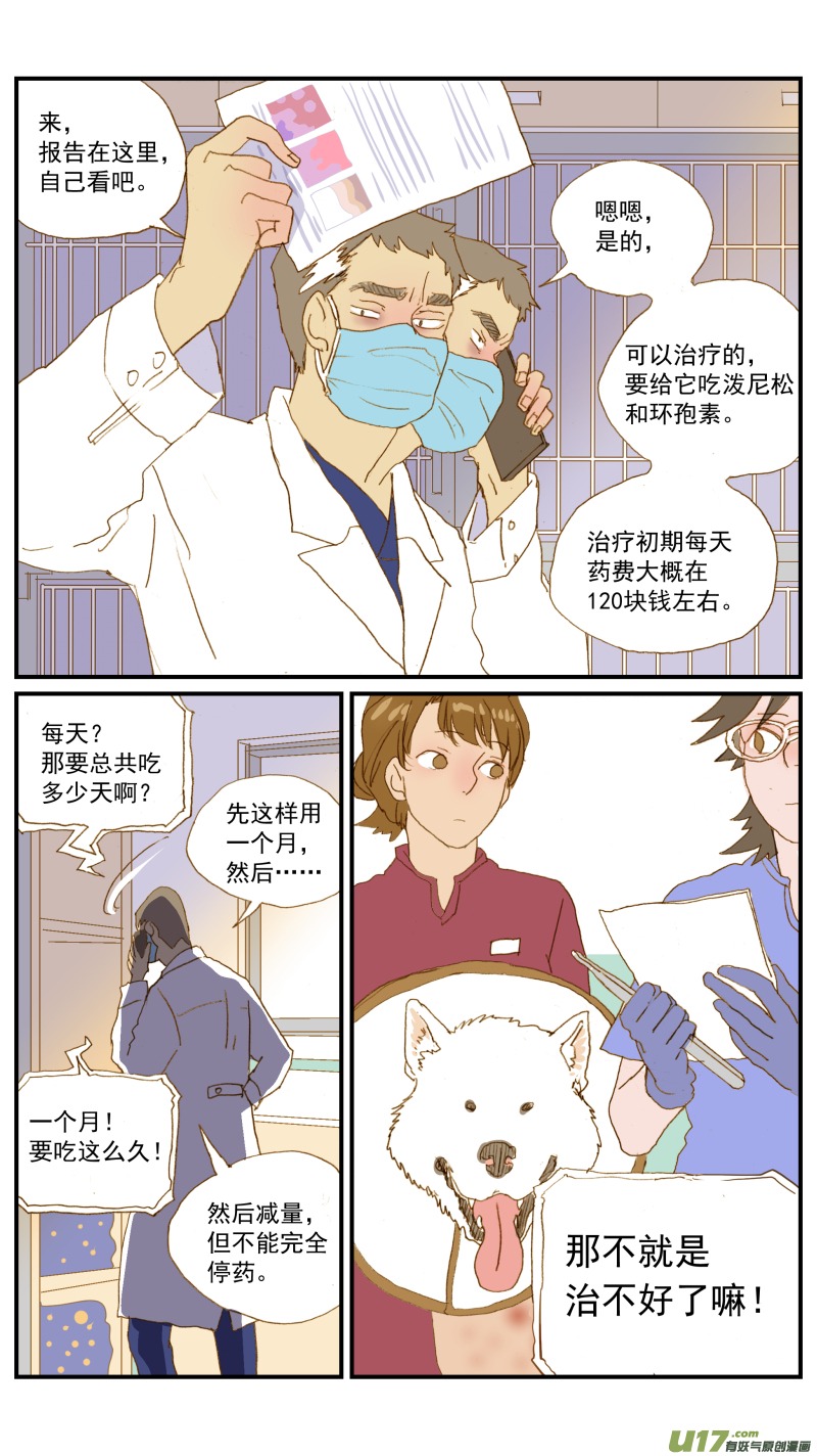 《百足宠物诊所》179 脂膜炎 第7页