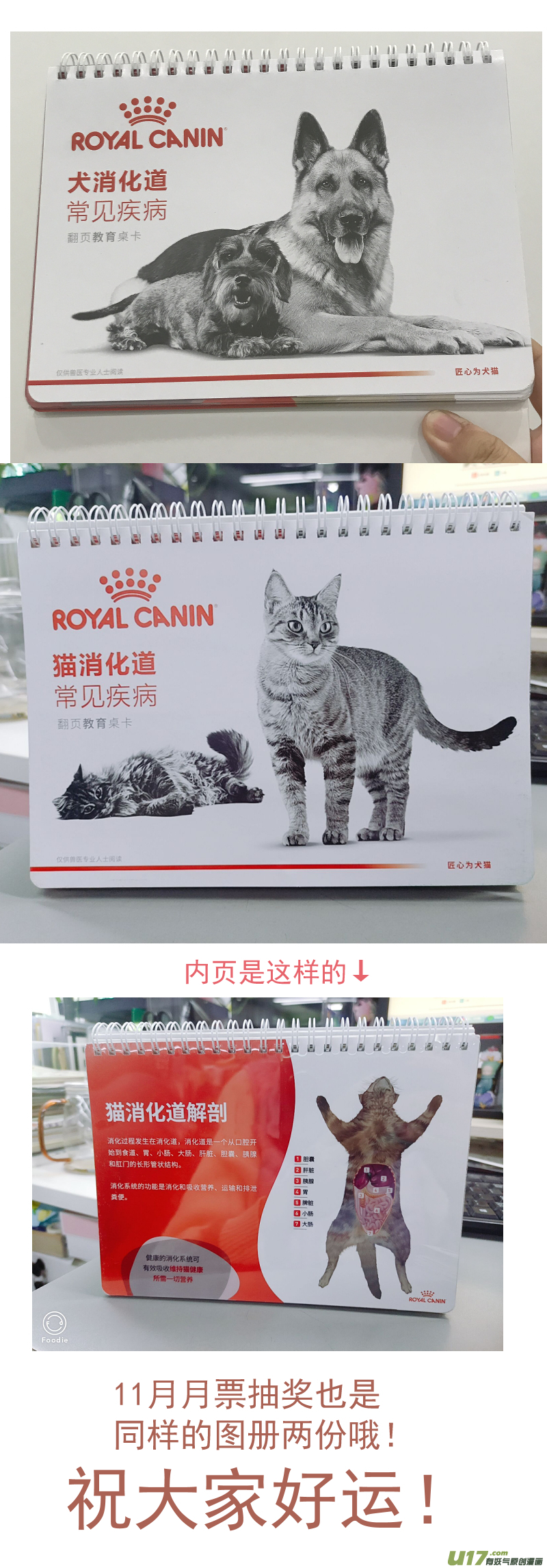 《百足宠物诊所》178 第15页