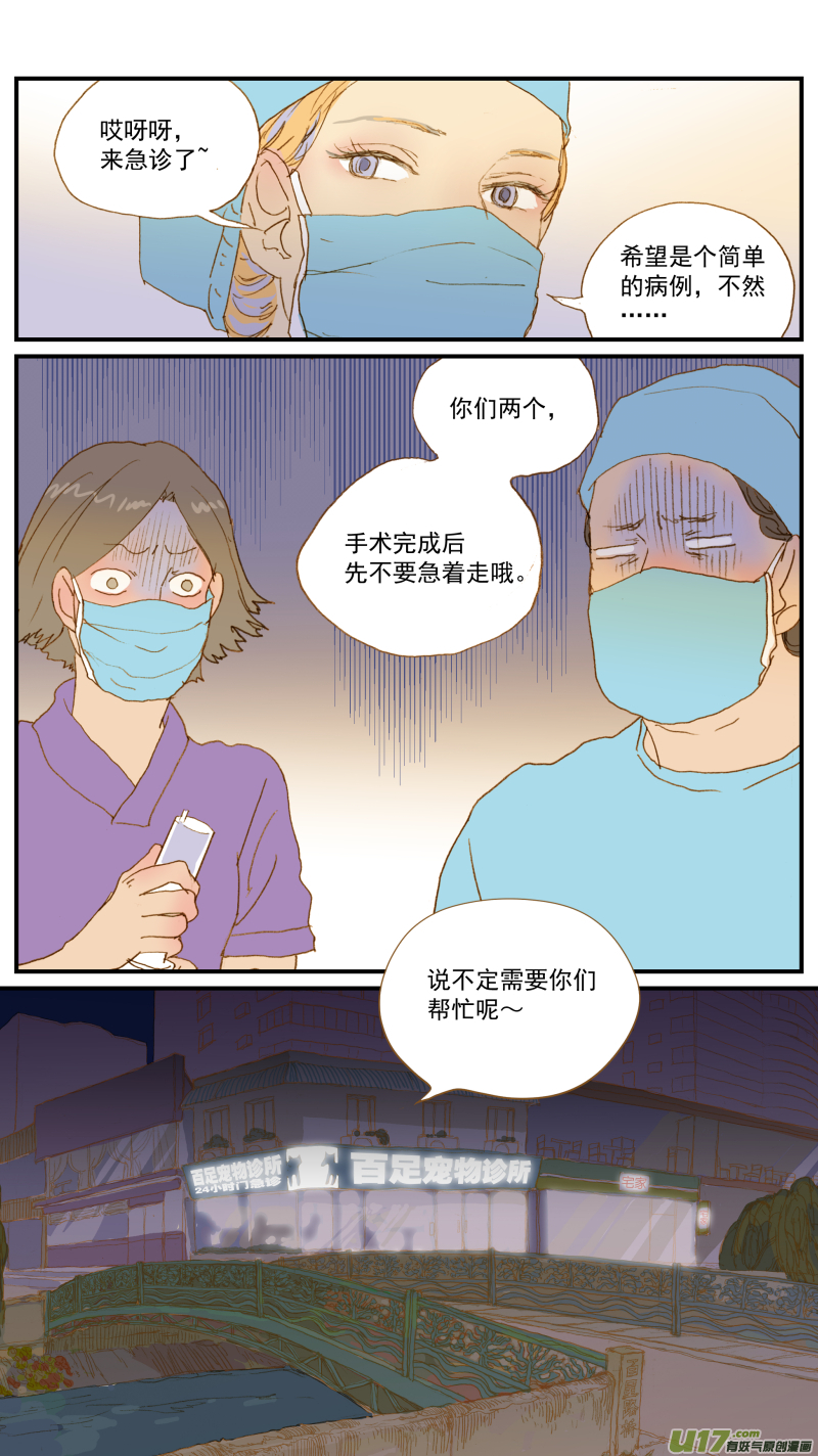 《百足宠物诊所》177 髋关节脱位 第12页