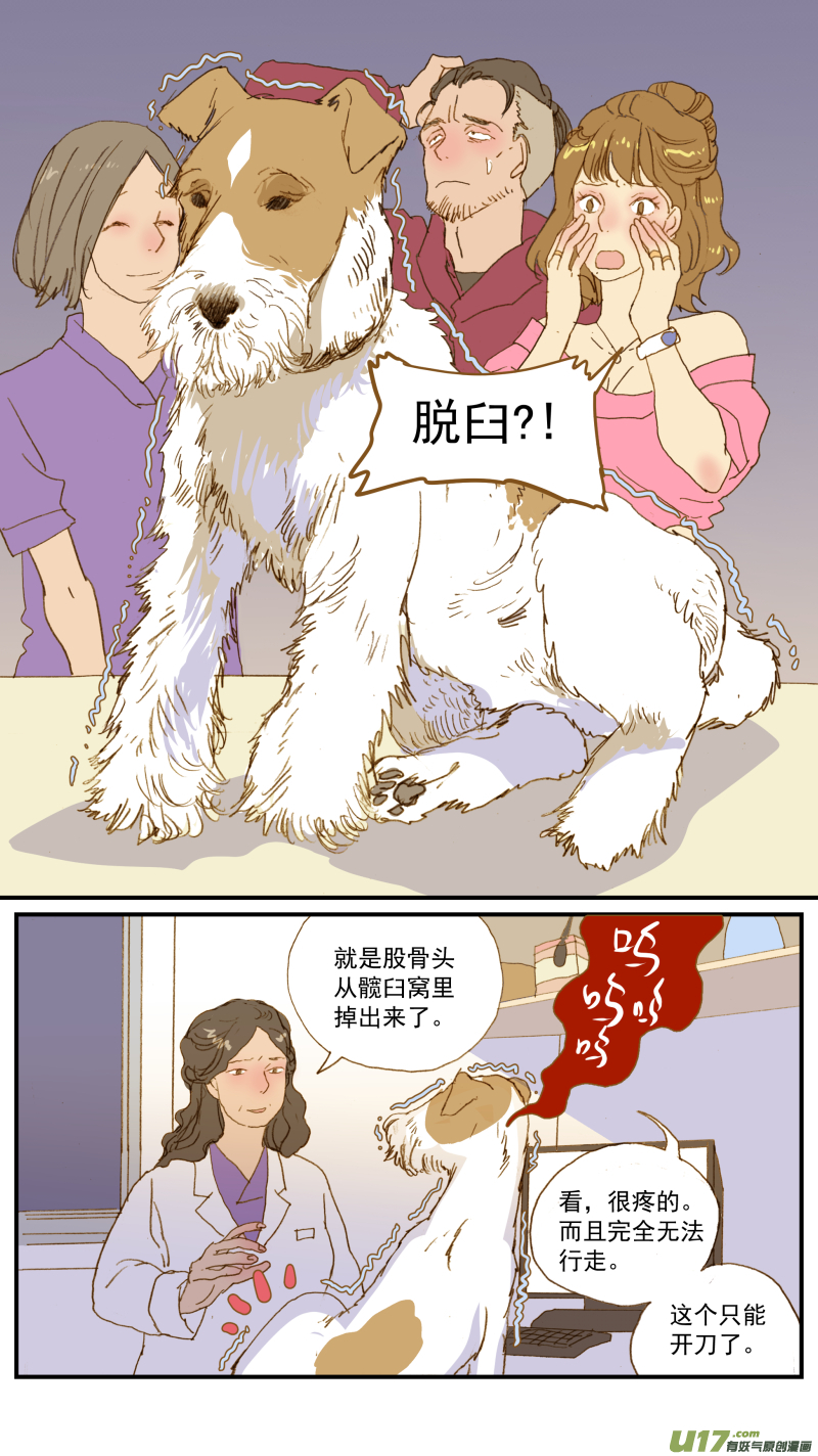 《百足宠物诊所》177 髋关节脱位 第1页