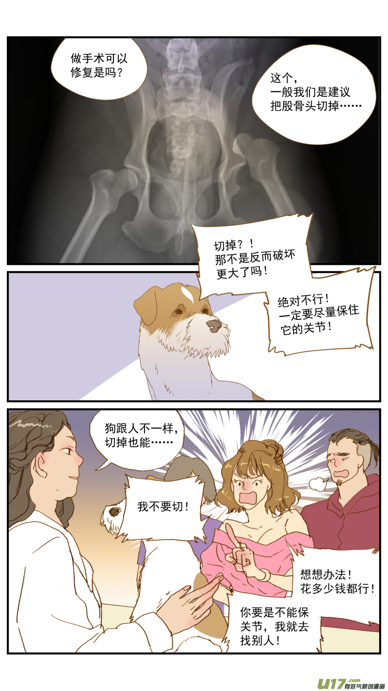 《百足宠物诊所》177 髋关节脱位 第2页
