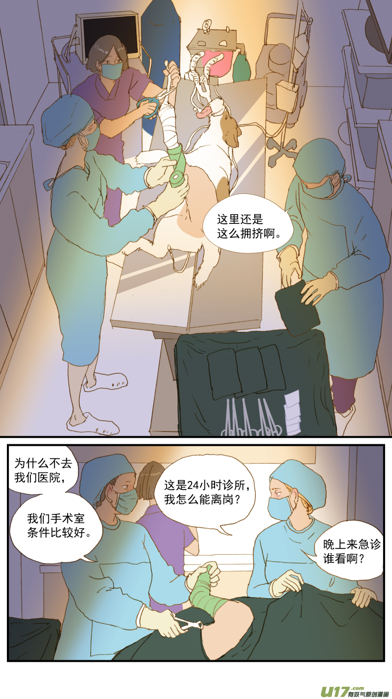 《百足宠物诊所》177 髋关节脱位 第7页