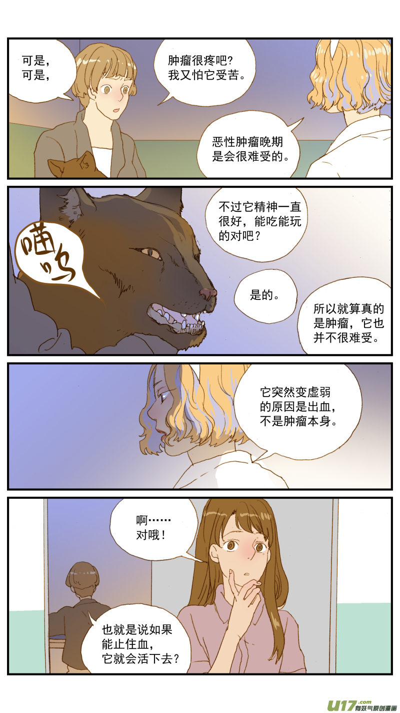 《百足宠物诊所》181 血腹 第11页