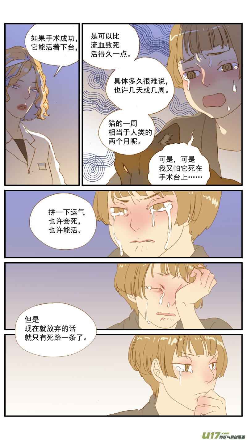 《百足宠物诊所》181 血腹 第12页
