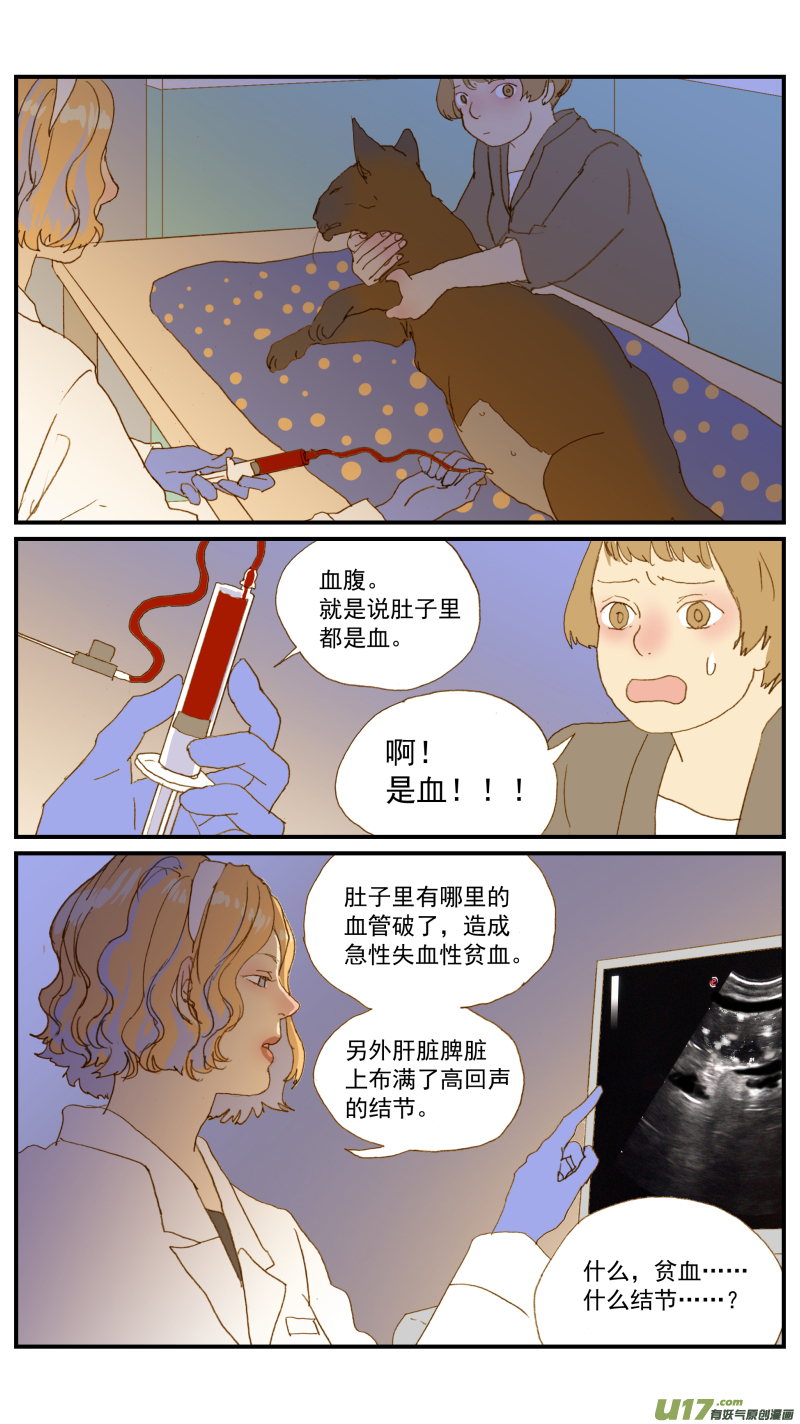 《百足宠物诊所》181 血腹 第6页