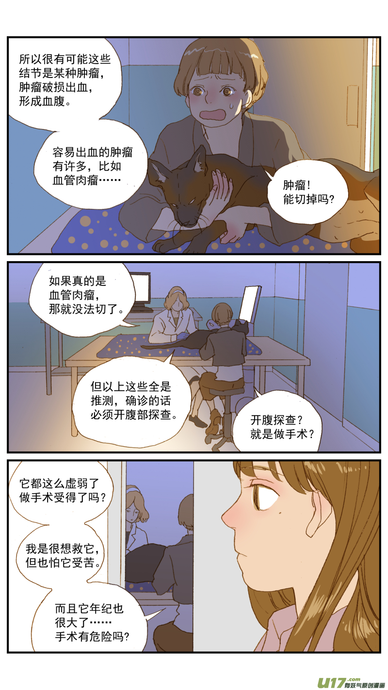 《百足宠物诊所》181 血腹 第7页