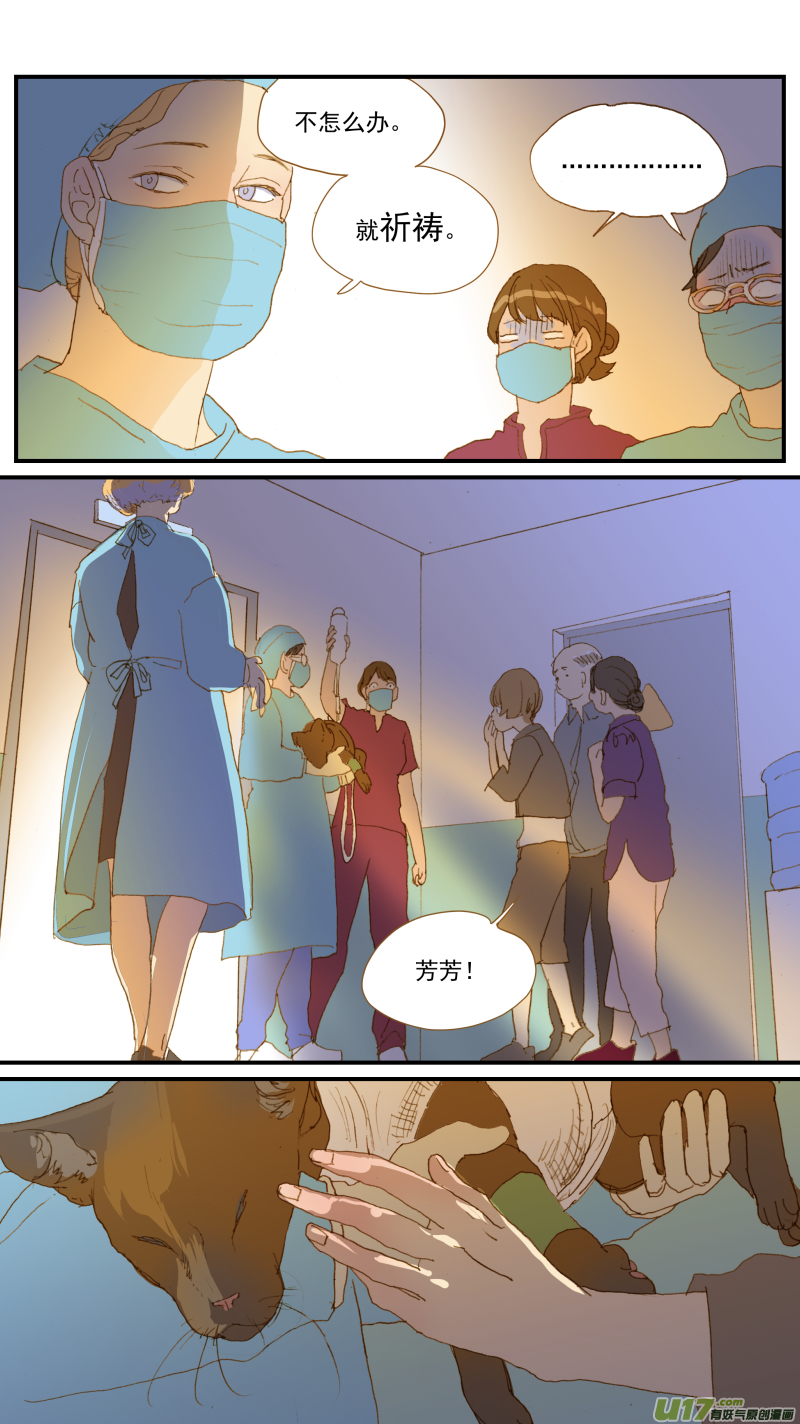 《百足宠物诊所》182 恶性肿瘤晚期 第9页