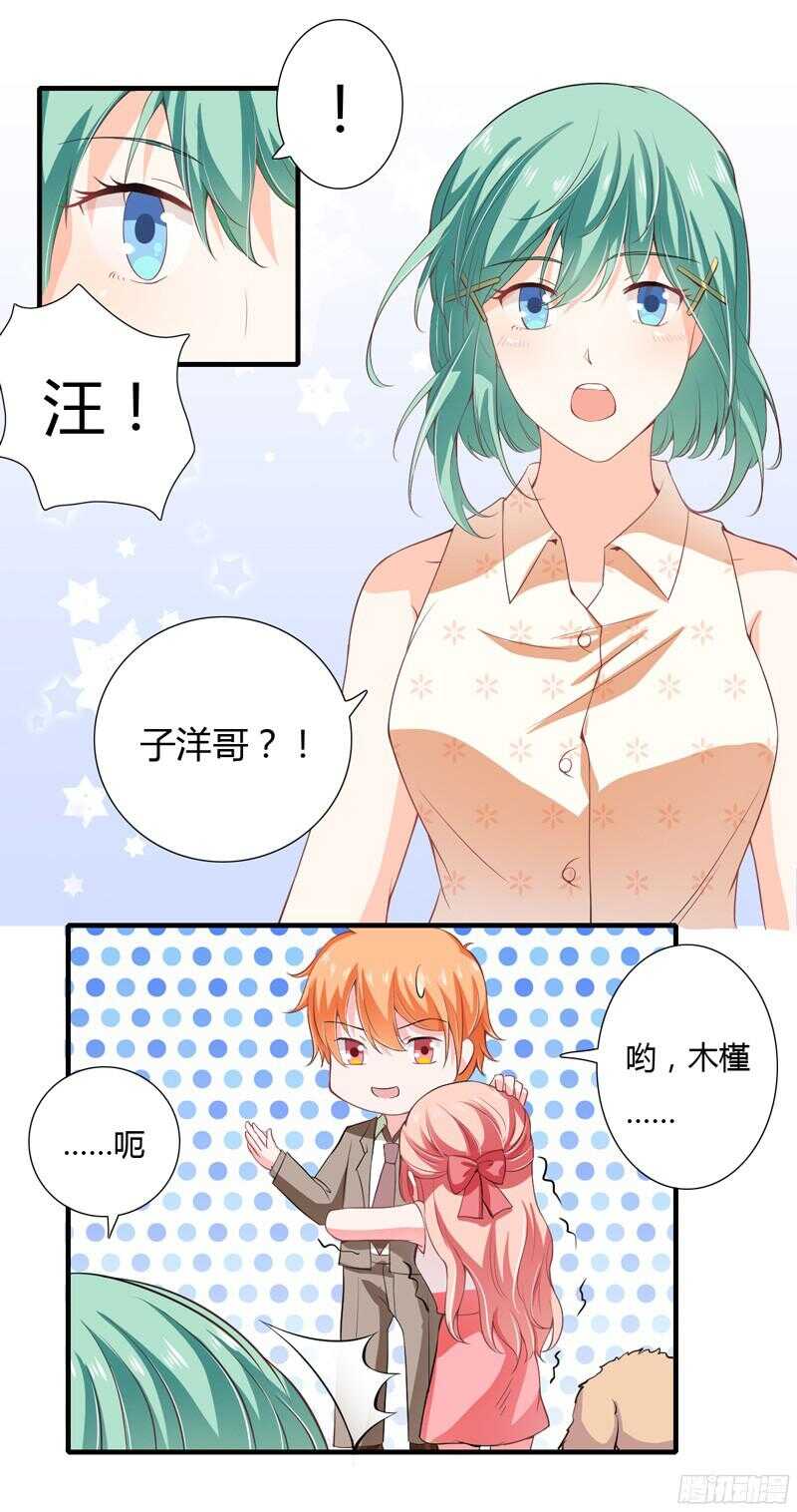 《闪婚惊爱》第43话 斜阳初遇木槿 第13页