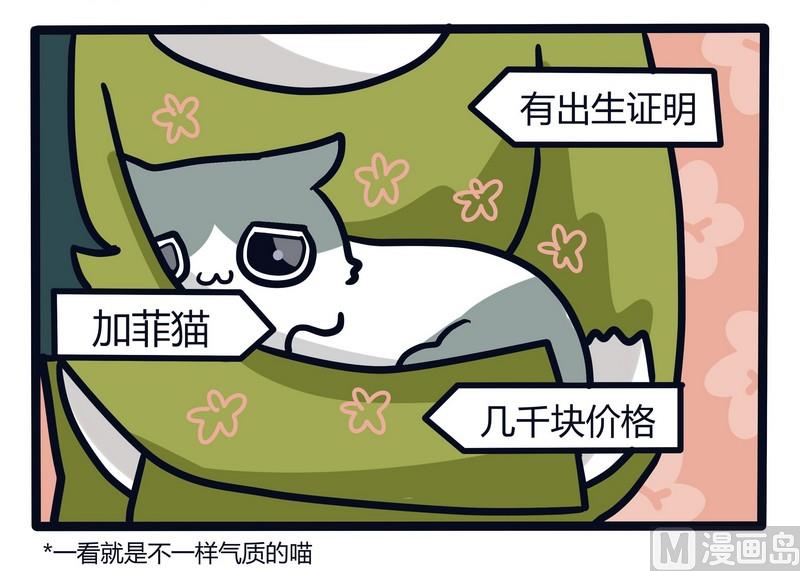《忧郁日记》第65话 发动机与BIGBOSS 第19页