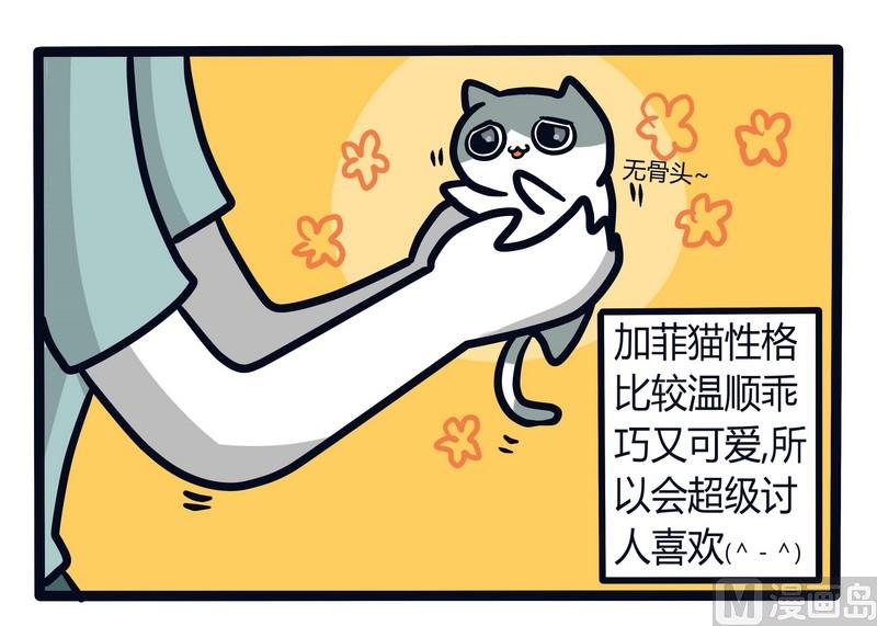 《忧郁日记》第65话 发动机与BIGBOSS 第21页