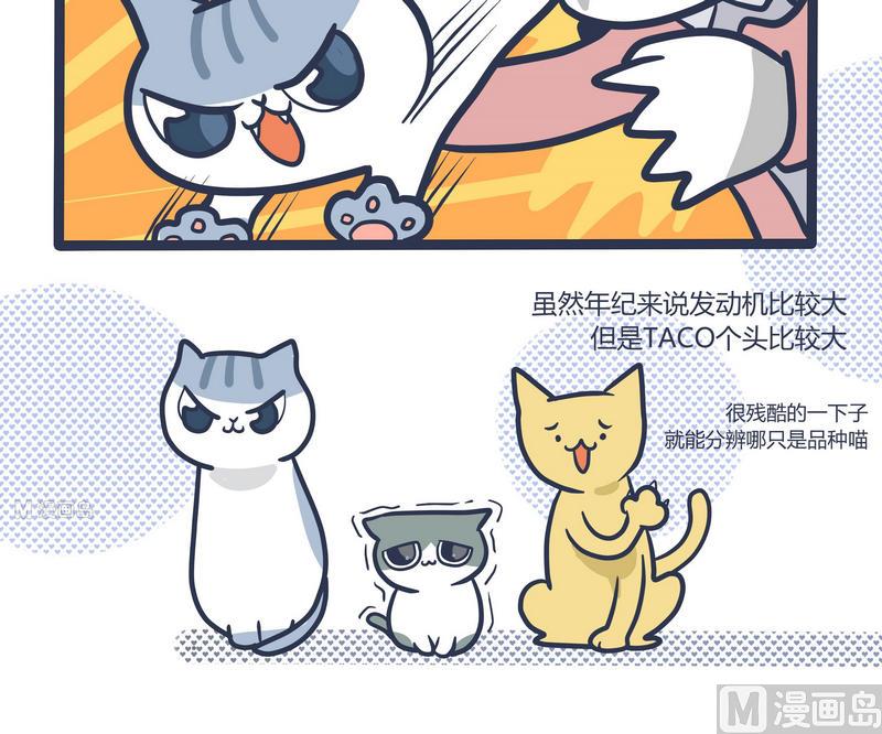《忧郁日记》第69话 发动机与BIG BOSS2 第5页