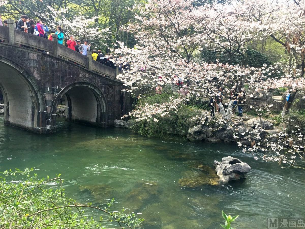 《忧郁日记》第121话 浪漫樱花之旅4 第27页