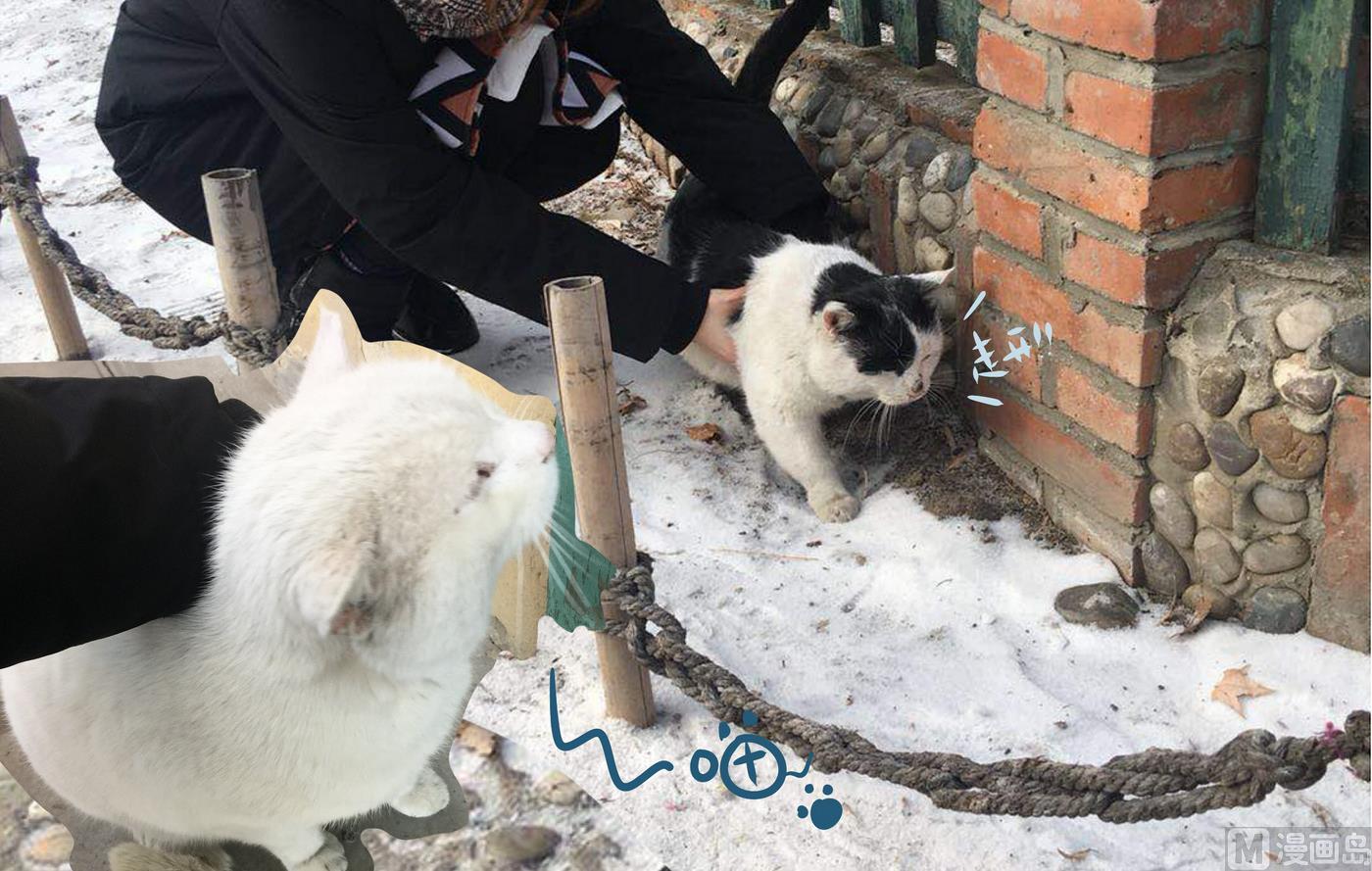 《忧郁日记》第148话 瑟瑟发抖雪之旅4 第27页