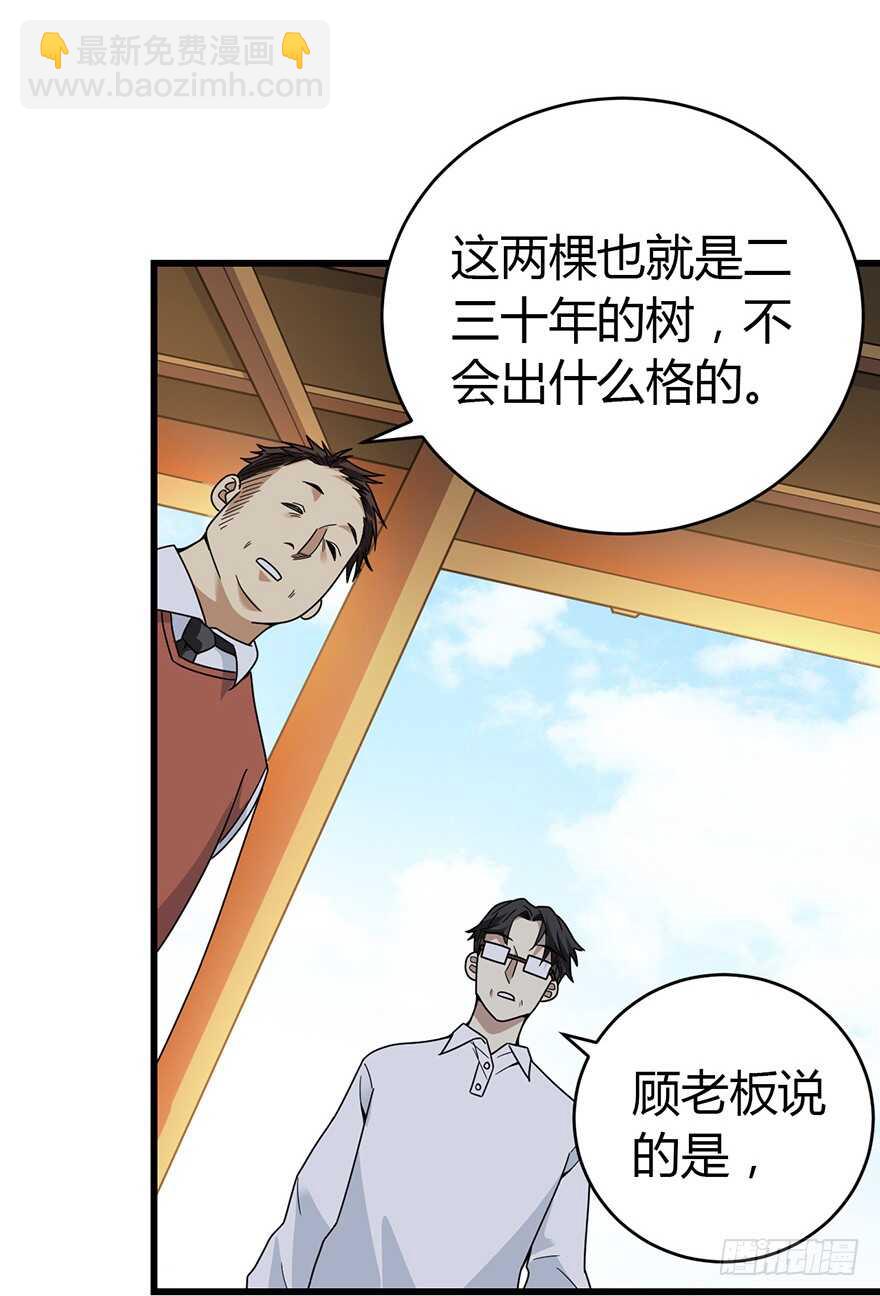 《神藏》48 赌树（下） 第11页