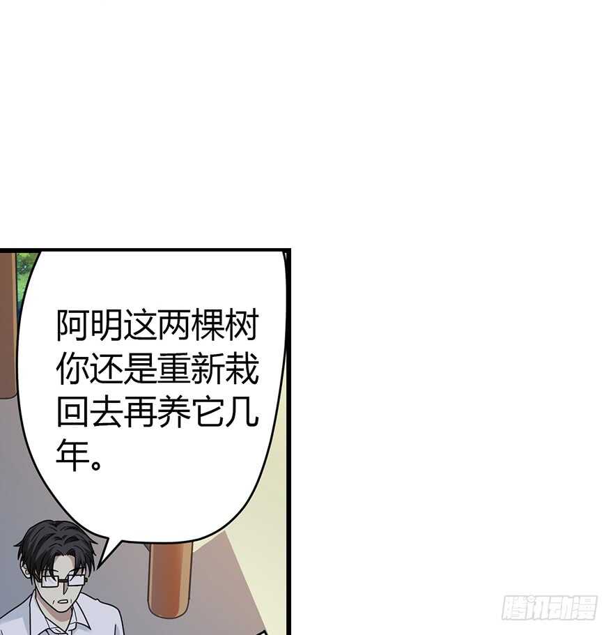 《神藏》48 赌树（下） 第12页