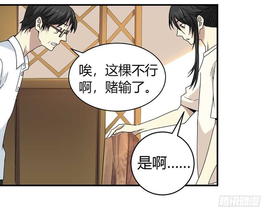 《神藏》48 赌树（下） 第37页