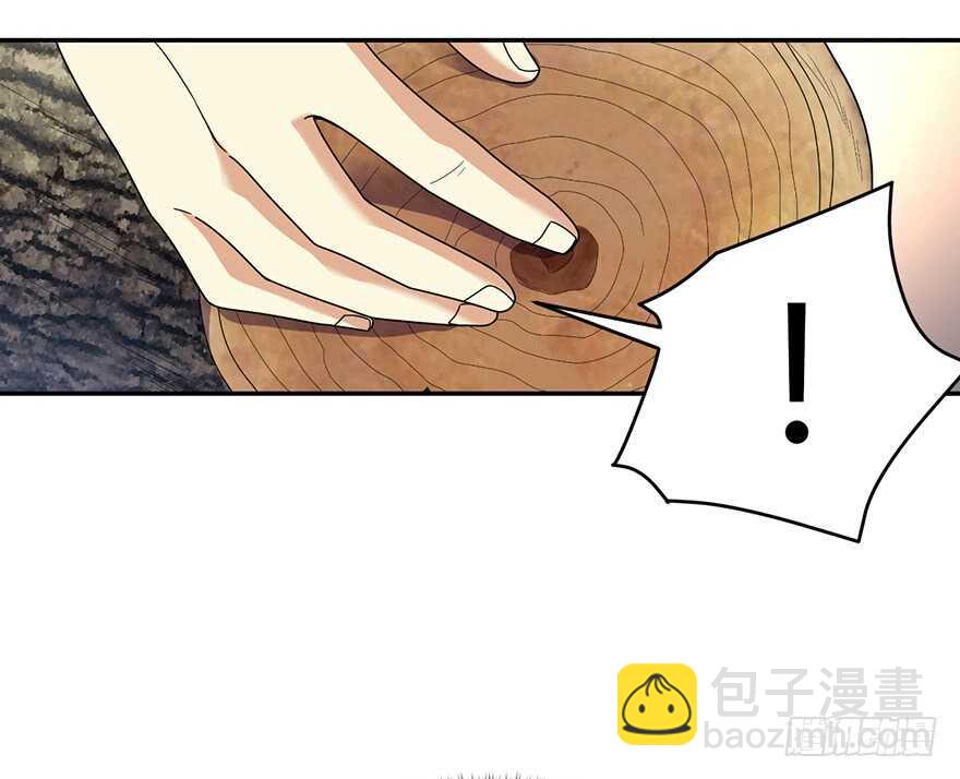 《神藏》47 赌树（上） 第11页