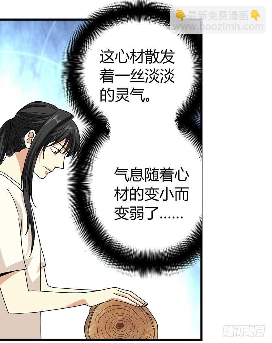 《神藏》47 赌树（上） 第12页
