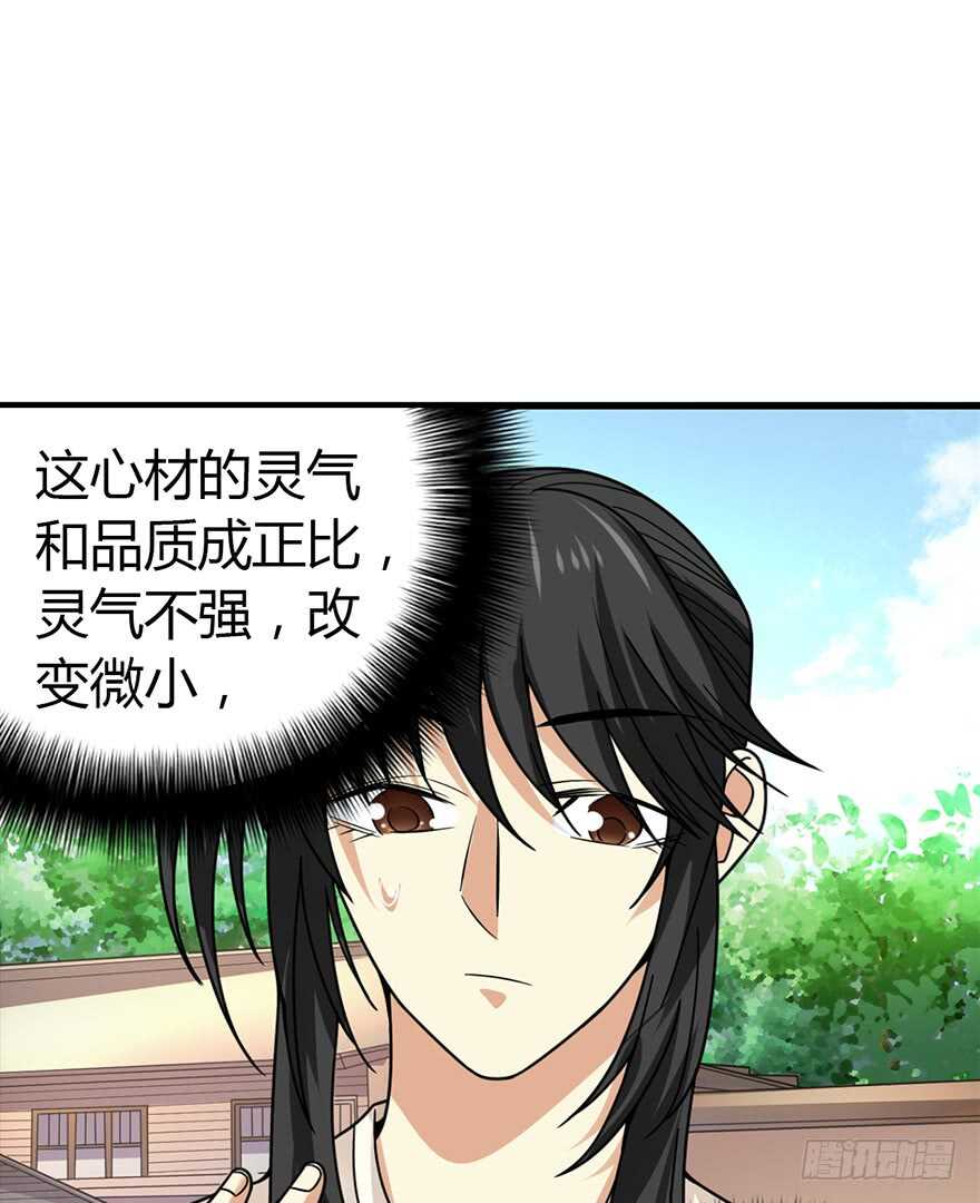 《神藏》47 赌树（上） 第13页
